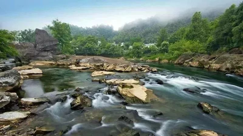 四大富硒茶乡是哪里产的(富硒茶是哪儿的)-硒宝网