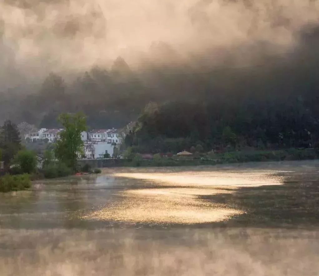 四大富硒茶乡是哪里产的(富硒茶是哪儿的)-硒宝网