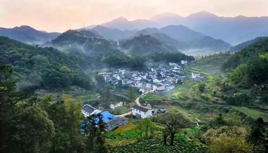 四大富硒茶乡是哪里产的(富硒茶是哪儿的)-硒宝网