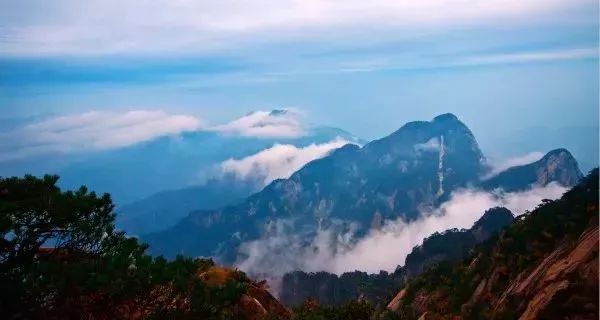 四大富硒茶乡是哪里产的(富硒茶是哪儿的)-硒宝网