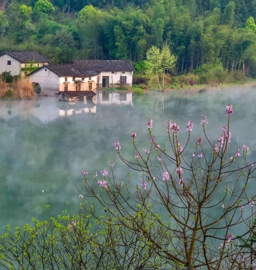 四大富硒茶乡是哪里产的(富硒茶是哪儿的)-硒宝网