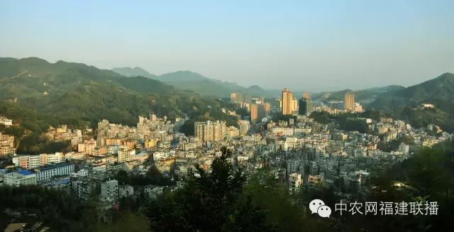 四大富硒茶乡是哪里产的(富硒茶之乡)-硒宝网