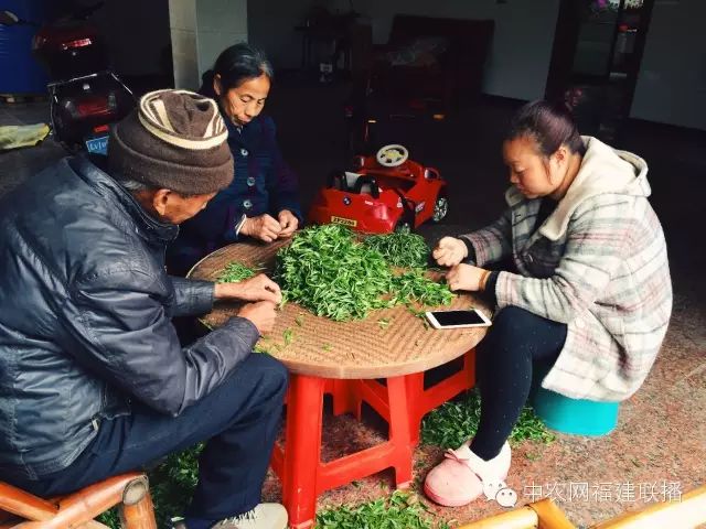 四大富硒茶乡是哪里产的(富硒茶之乡)-硒宝网