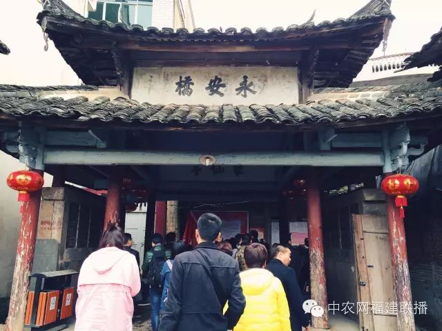 四大富硒茶乡是哪里产的(富硒茶之乡)-硒宝网