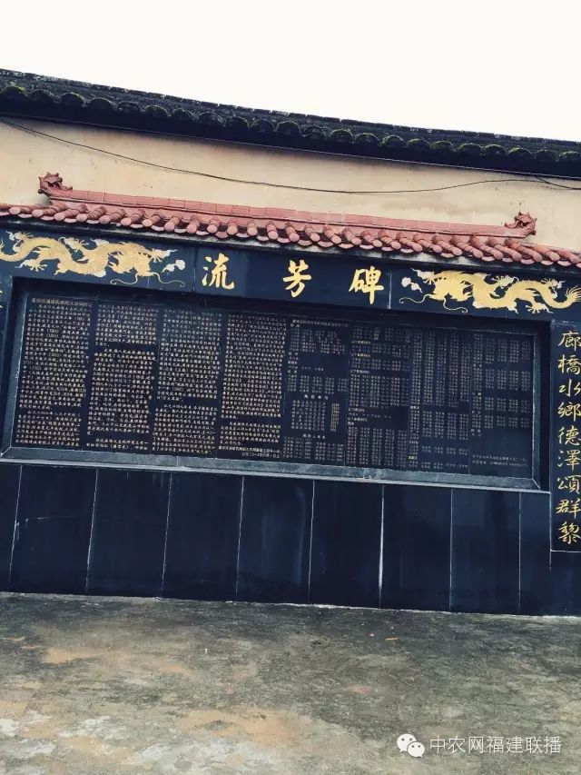 四大富硒茶乡是哪里产的(富硒茶之乡)-硒宝网