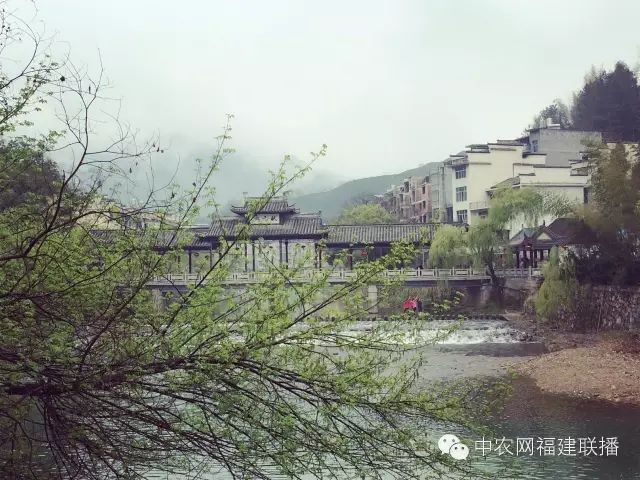 四大富硒茶乡是哪里产的(富硒茶之乡)-硒宝网