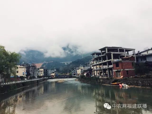 四大富硒茶乡是哪里产的(富硒茶之乡)-硒宝网