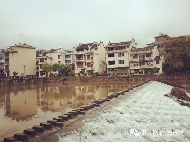 四大富硒茶乡是哪里产的(富硒茶之乡)-硒宝网