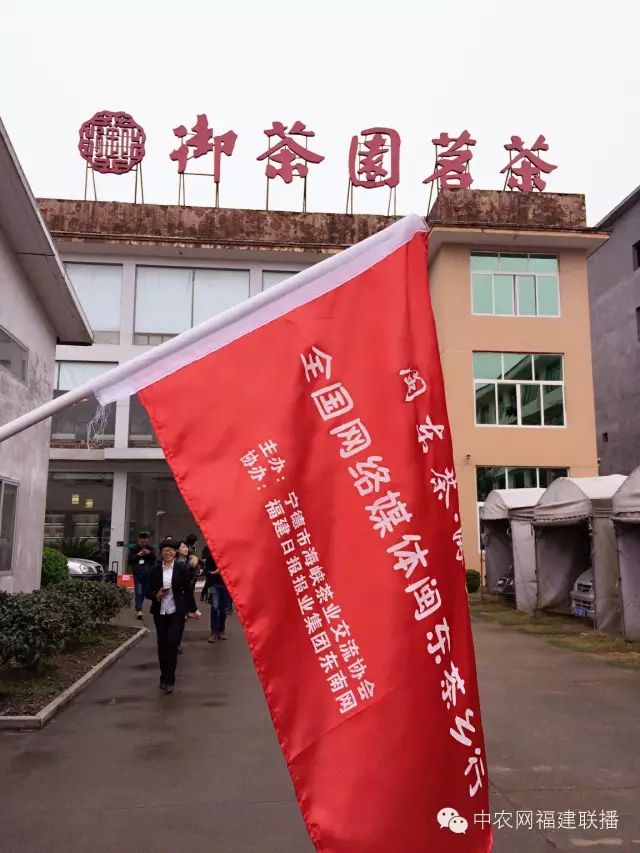 四大富硒茶乡是哪里产的(富硒茶之乡)-硒宝网