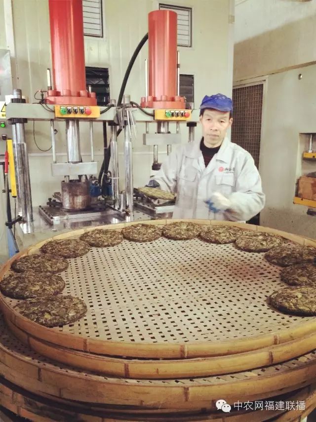 四大富硒茶乡是哪里产的(富硒茶之乡)-硒宝网