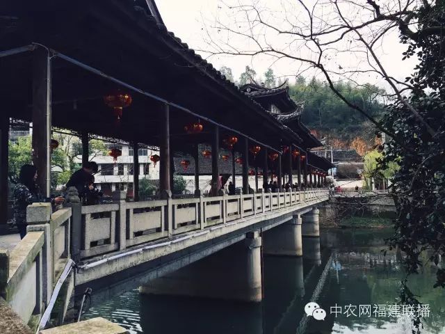 四大富硒茶乡是哪里产的(富硒茶之乡)-硒宝网