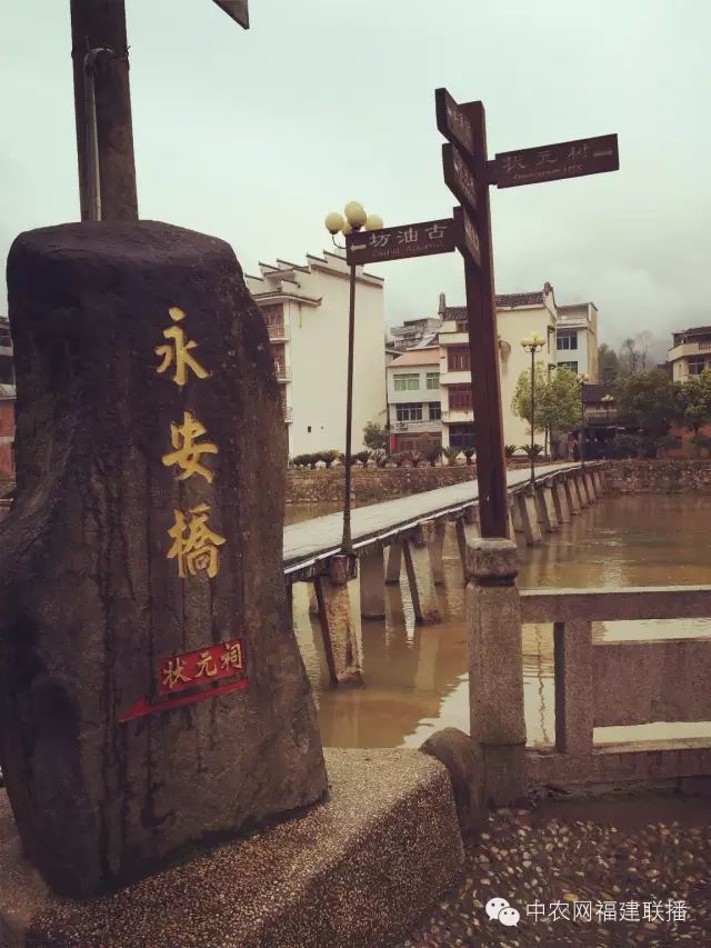 四大富硒茶乡是哪里产的(富硒茶之乡)-硒宝网