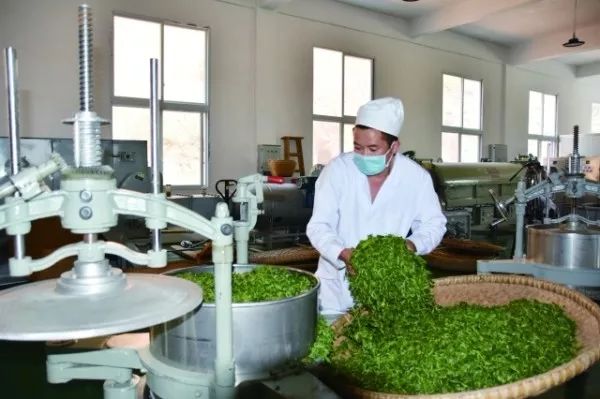 开阳县富硒茶多少钱一斤（开阳富硒茶多少钱一斤）-硒宝网