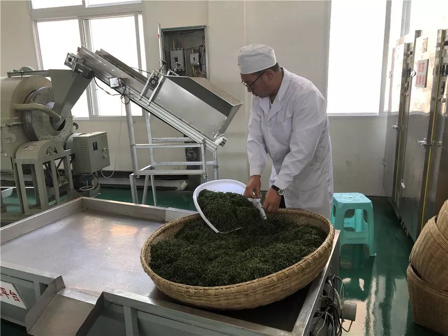 开阳县富硒茶多少钱一斤（开阳富硒茶多少钱一斤）-硒宝网