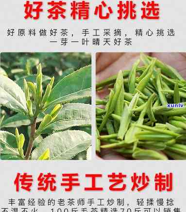 仙寓山富硒茶多少钱一盒(仙寓山富硒野茶多少钱一斤)-硒宝网