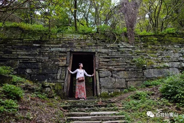 仙寓山富硒茶多少钱一盒(野生富硒茶仙寓山怎么卖)-硒宝网