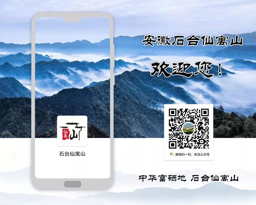 仙寓山富硒茶多少钱一盒(野生富硒茶仙寓山怎么卖)-硒宝网