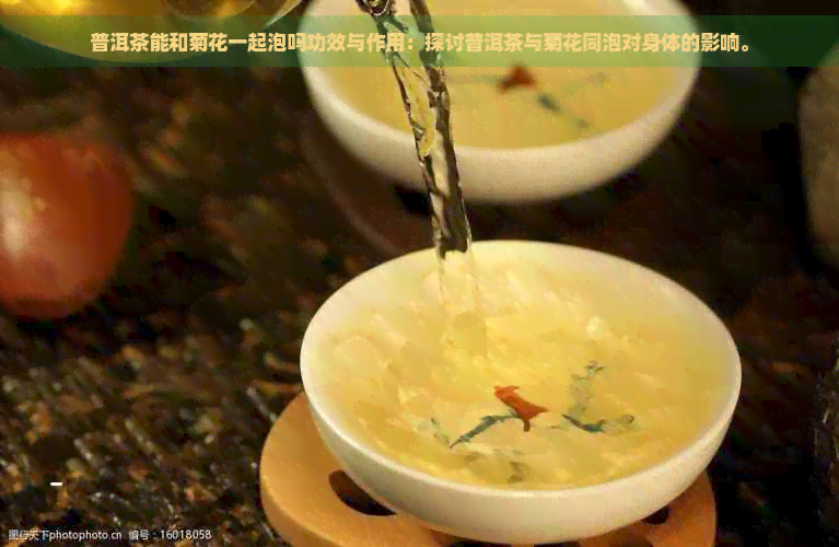 富硒茶能和菊花一起泡吗（菊花茶能壮阳吗）-硒宝网