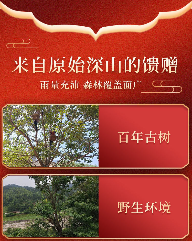 富硒青钱柳茶多少钱一斤(富硒金钱柳茶)-硒宝网