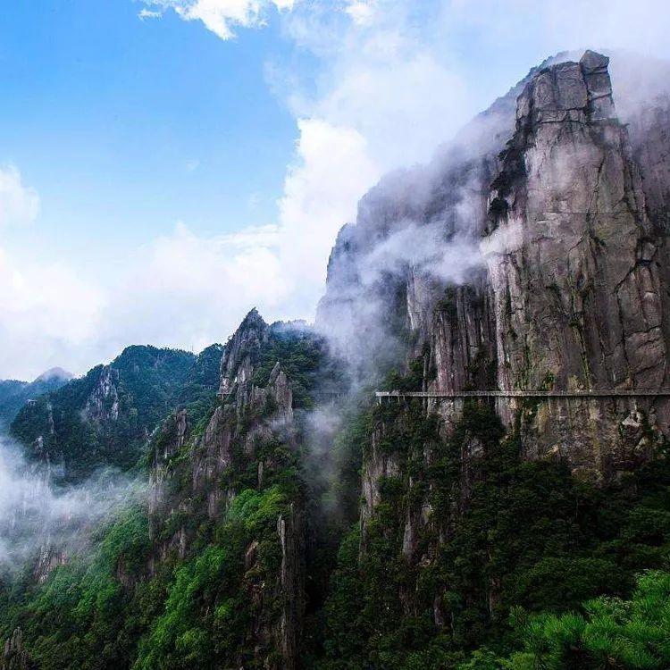 富硒青钱柳茶多少钱一盒（富硒青钱柳叶茶）-硒宝网