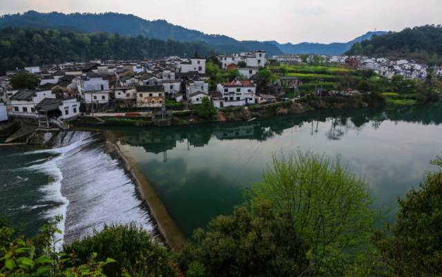 富硒青钱柳茶多少钱一盒（富硒青钱柳叶茶）-硒宝网