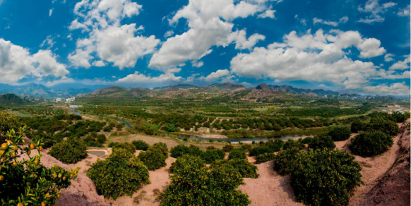 富硒青钱柳茶多少钱一盒（富硒青钱柳叶茶）-硒宝网