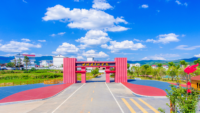 富硒青钱柳茶多少钱一盒（富硒青钱柳叶茶）-硒宝网
