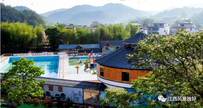 富硒青钱柳茶多少钱一盒（富硒青钱柳叶茶）-硒宝网