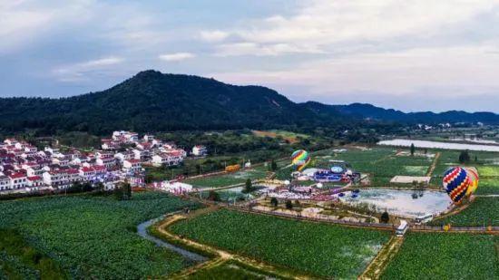 富硒青钱柳茶多少钱一盒（富硒青钱柳叶茶）-硒宝网