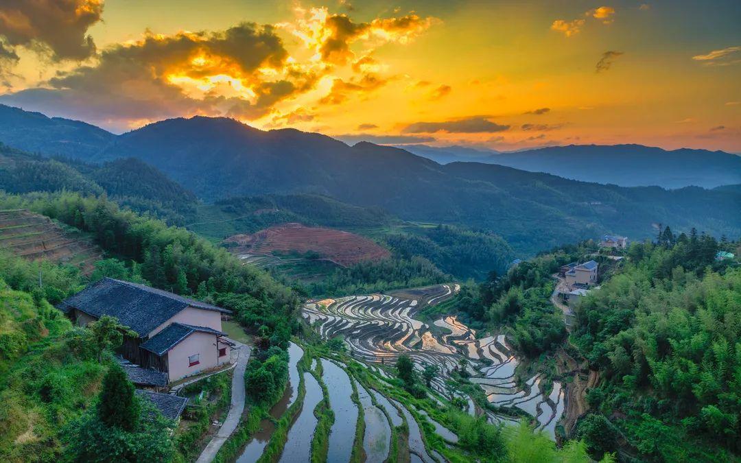 富硒青钱柳茶多少钱一盒（富硒青钱柳叶茶）-硒宝网