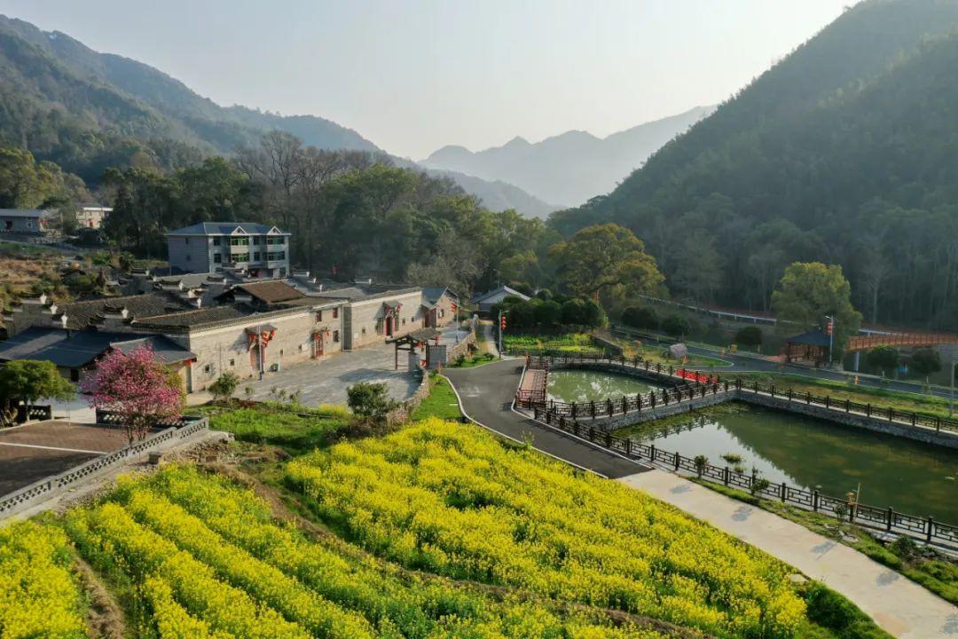 富硒青钱柳茶多少钱一盒（富硒青钱柳叶茶）-硒宝网