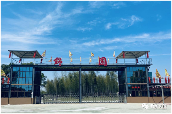 富硒青钱柳茶多少钱一盒（富硒青钱柳叶茶）-硒宝网