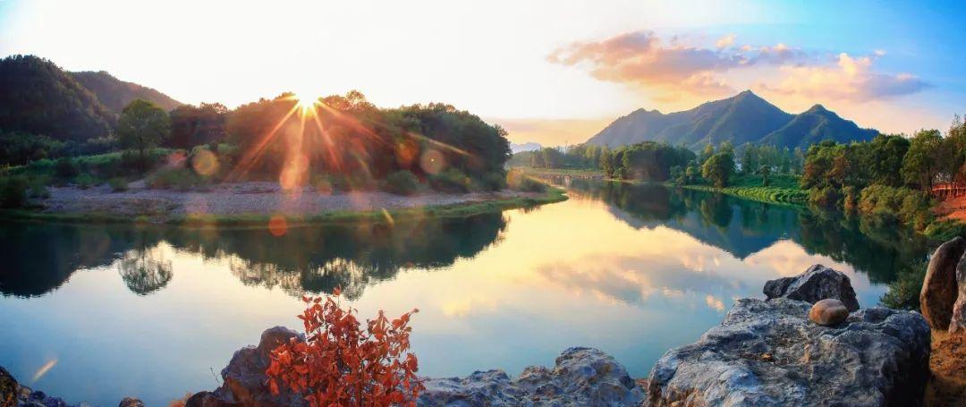 富硒青钱柳茶多少钱一盒（富硒青钱柳叶茶）-硒宝网