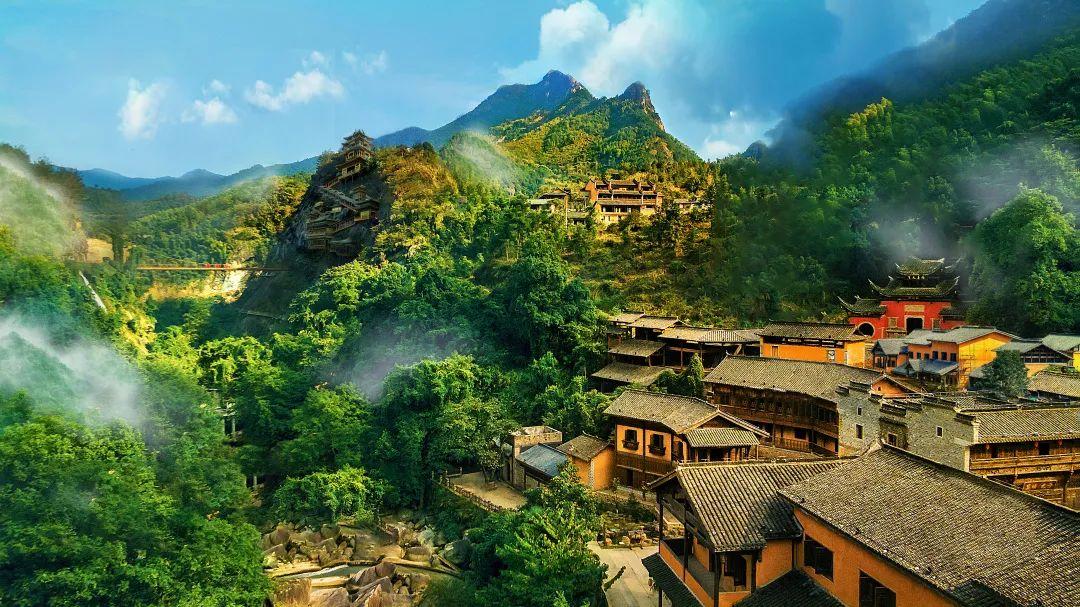 富硒青钱柳茶多少钱一盒（富硒青钱柳叶茶）-硒宝网