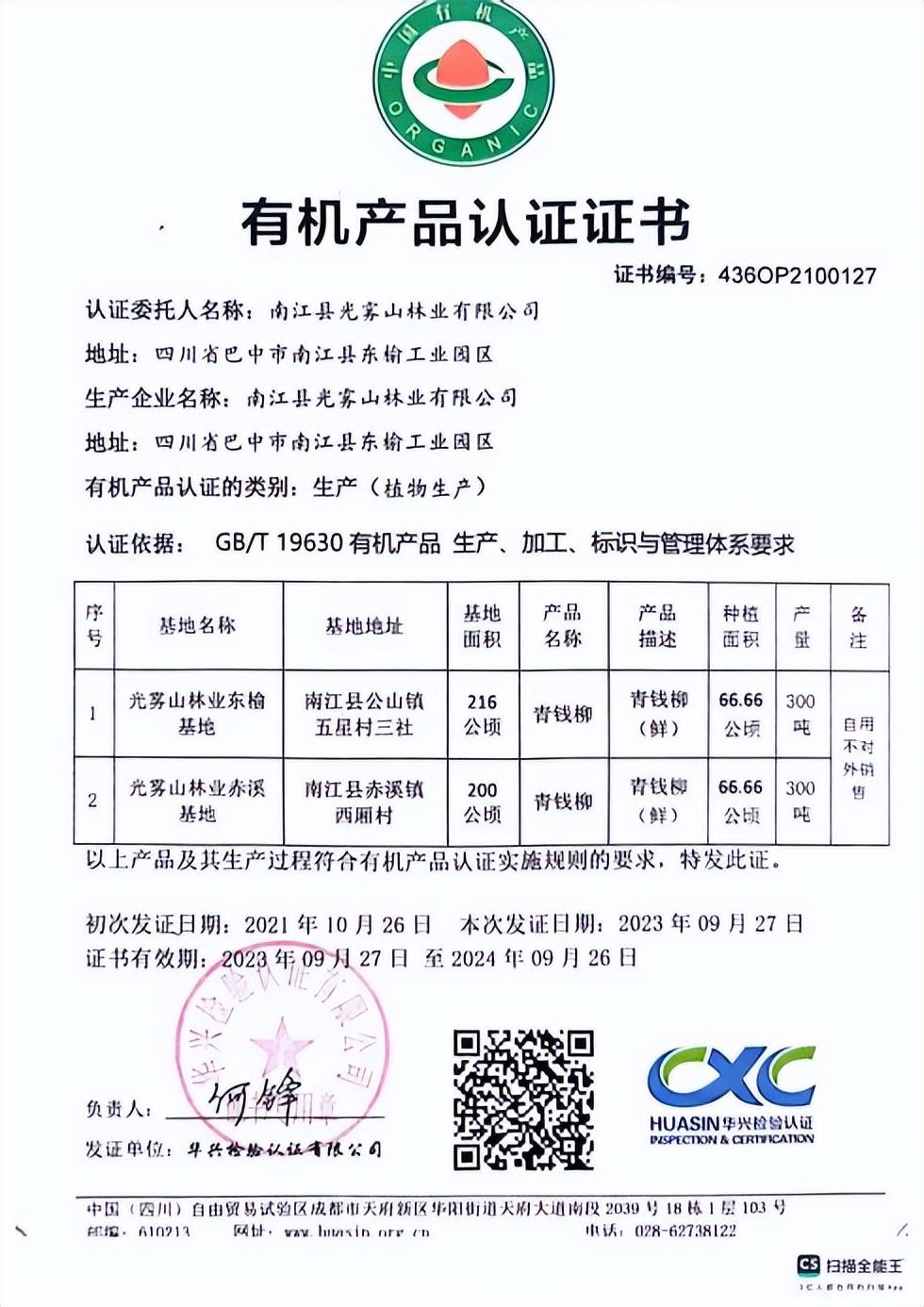 富硒青钱柳茶多少钱一斤(富硒青钱柳叶茶)-硒宝网