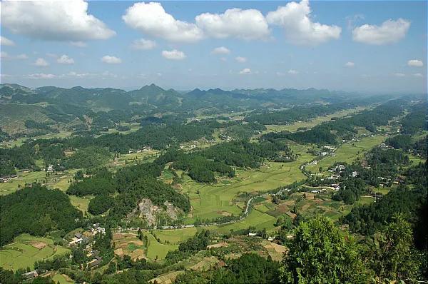 凤冈县富硒茶多少钱一斤（富硒茶庄）-硒宝网