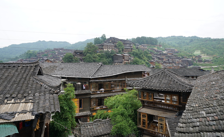 富硒青钱柳茶多少钱一盒（富硒青钱柳的故事）-硒宝网