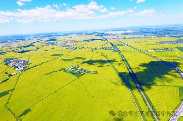 哈尔滨有机富硒大米品质(黑龙江富硒大米多少钱一斤)-硒宝网