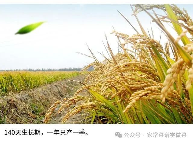 哈尔滨有机富硒大米品质(黑龙江富硒大米多少钱一斤)-硒宝网