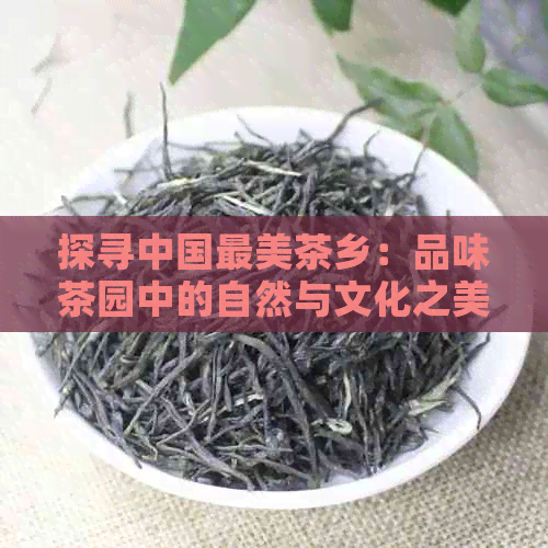 四大富硒茶乡是哪四个?。ǜ晃枳?硒宝网