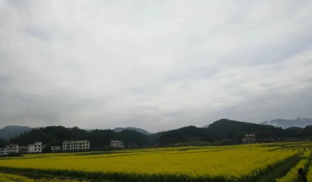 邵阳有机富硒大米的加工（富硒大米生产技术）-硒宝网