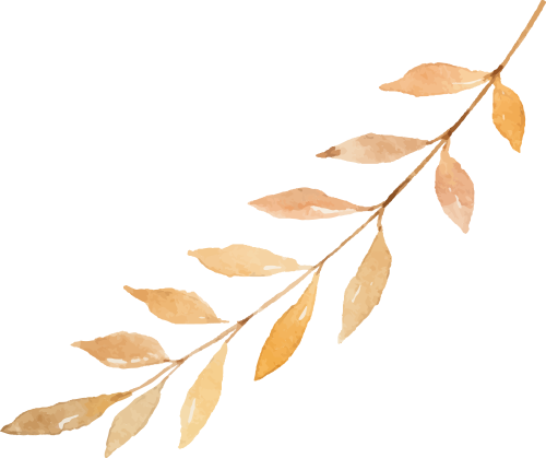 为什么吃富硒大米会便秘（大米便秘吃富硒会怎么样）-硒宝网