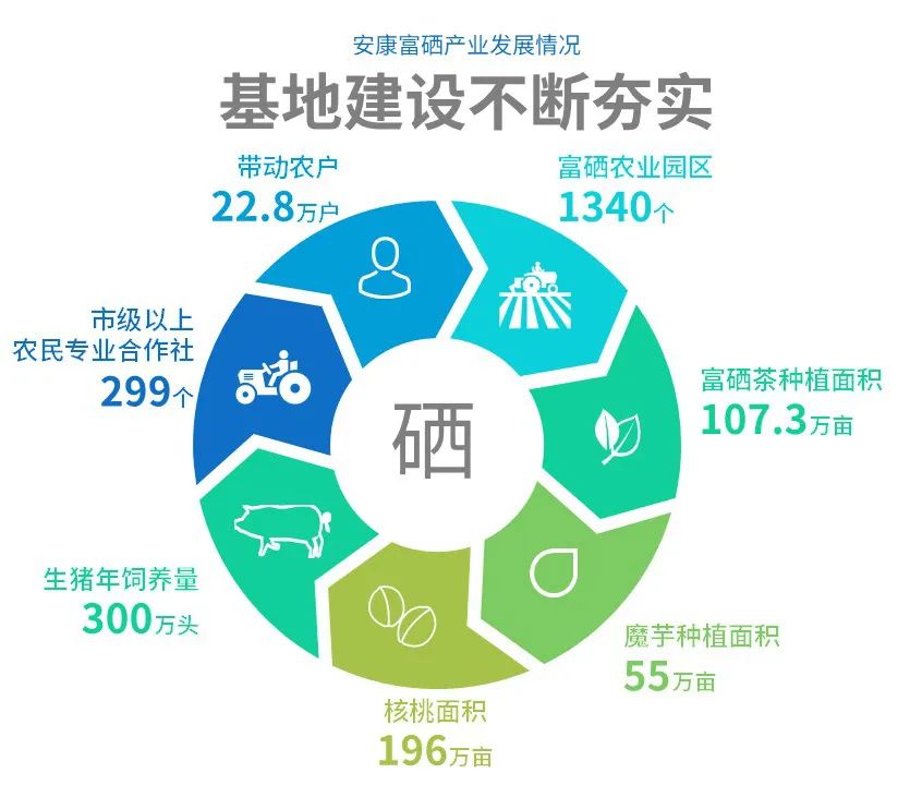 陕西安康富硒大米的介绍(陕西省安康大米怎么样)-硒宝网