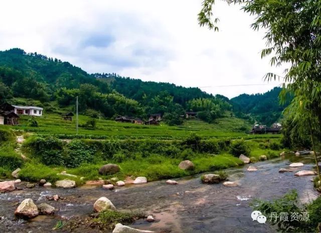 富硒大米什么时候开始吃(大米开始吃富硒时候吃什么)-硒宝网