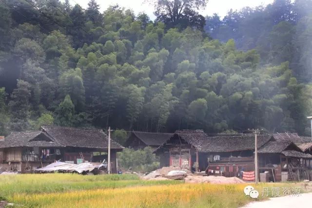 富硒大米什么时候开始吃(大米开始吃富硒时候吃什么)-硒宝网
