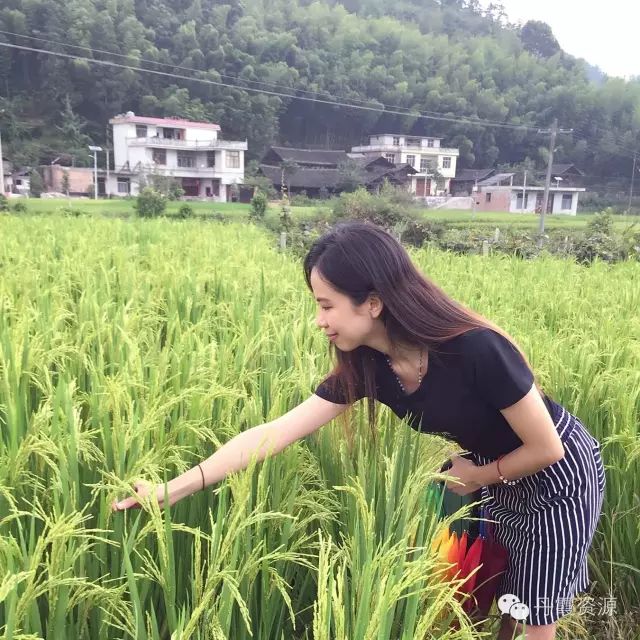 富硒大米什么时候开始吃(大米开始吃富硒时候吃什么)-硒宝网