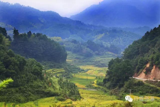 富硒大米什么时候开始吃(大米开始吃富硒时候吃什么)-硒宝网