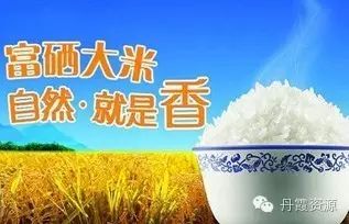 富硒大米什么时候开始吃(大米开始吃富硒时候吃什么)-硒宝网