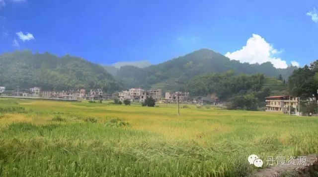 富硒大米什么时候开始吃(大米开始吃富硒时候吃什么)-硒宝网