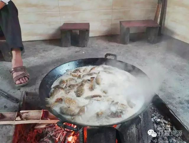 富硒大米什么时候开始吃(大米开始吃富硒时候吃什么)-硒宝网